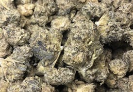 Top Shelf Flower - Gelato Dosido 31% Indica