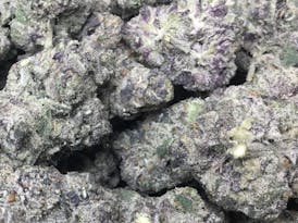 Top Shelf Flower - Vice City - 27% Sativa