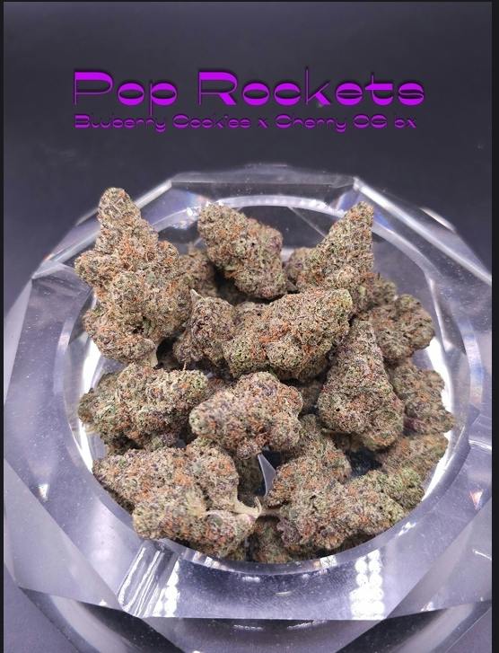 Pop Rockets- (24%)