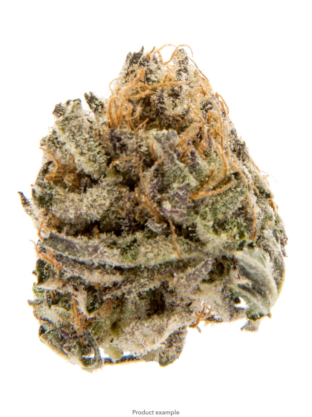 Ice Cream Sundae (REC)