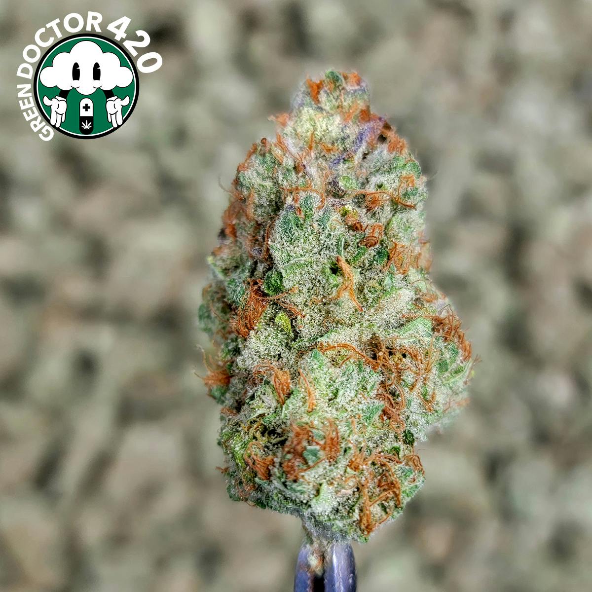 Strawberry Shortcake