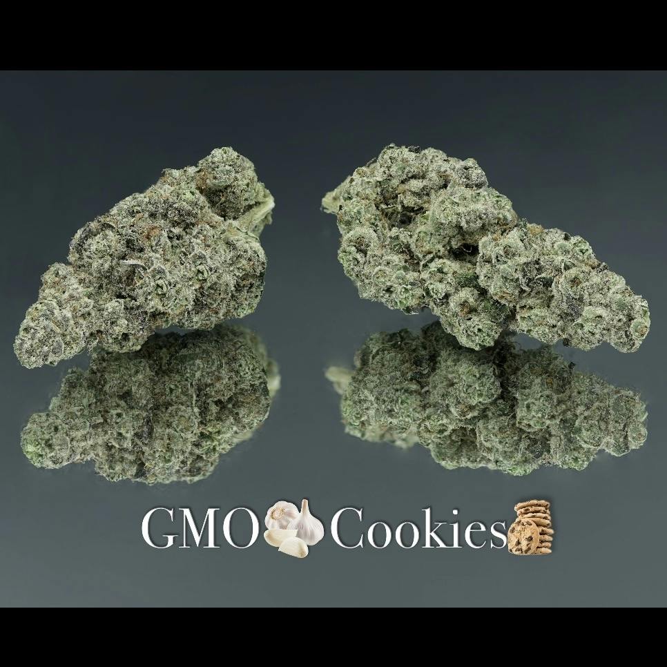Gmo Garden House Cultivation