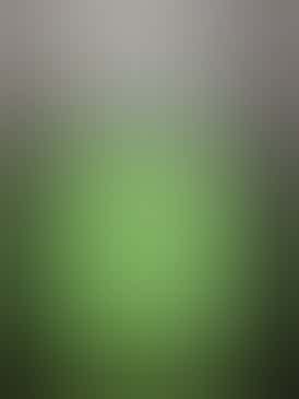 Healer Capsules “CBD” 20mg 6:1 CBD:CBDA 30 Pack by Healer Cannabis