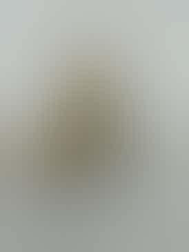 Platinum Kush Breath 1g Live Rosin by Terra Horta Co