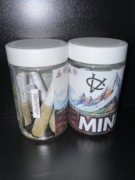 Pine & Purps - 5 Pack Wicked Minis Sauce & Hash Infused Prerolls by Wicked Infused