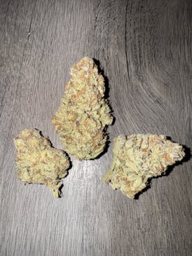 Sour Tangie by High Test Gardens