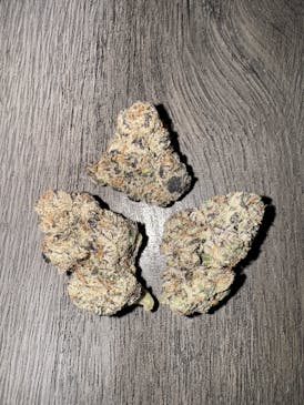 Blue Zushi by High Test Gardens