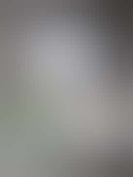 Gush Mints 1g Full Spec Live Hash Rosin by Lodestar Cannabis