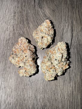 Gastronomical by Funky Fuel Cannabis