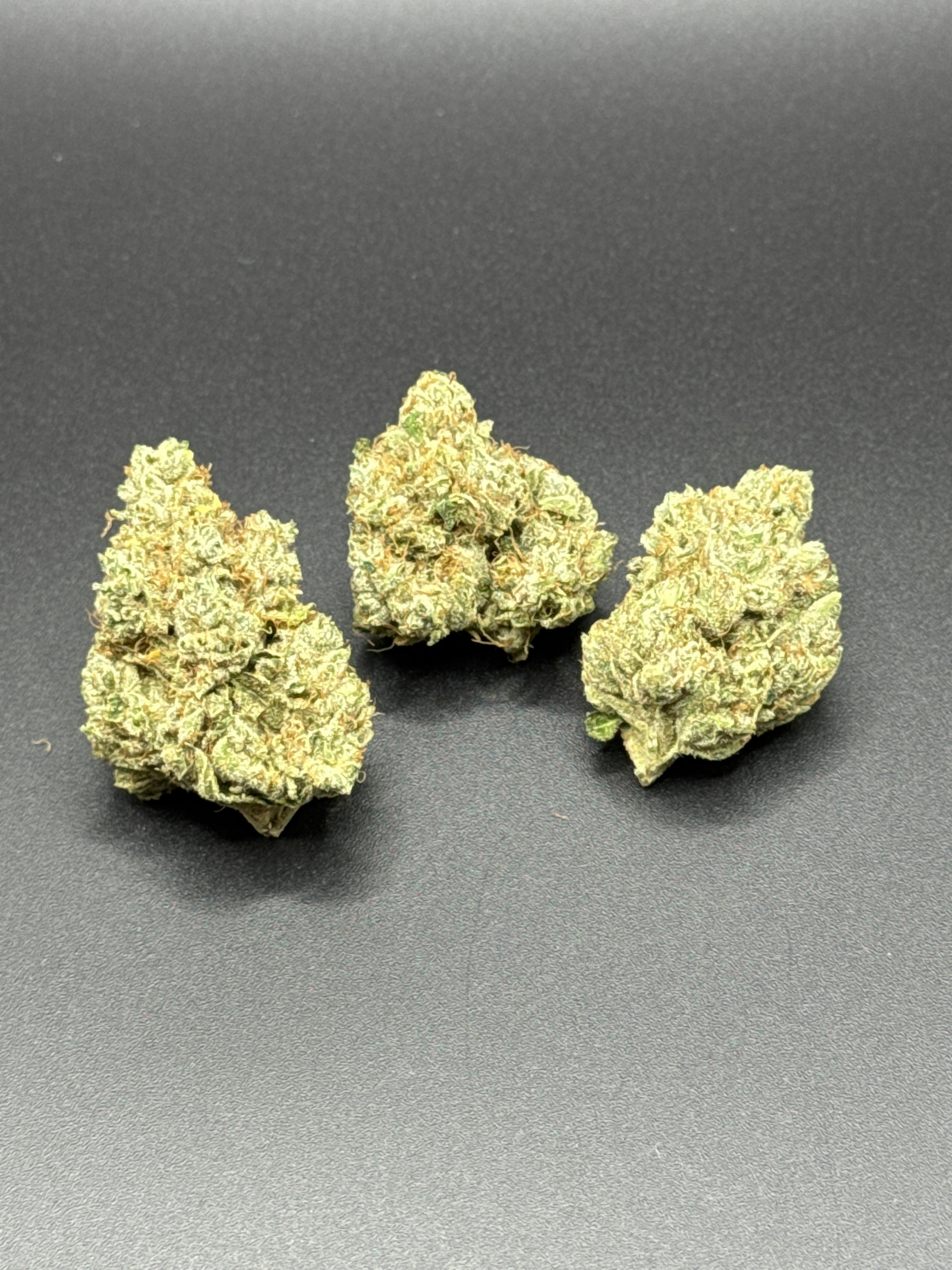 Kosher Kush x Sour Diesel #10 by Firefly Organics