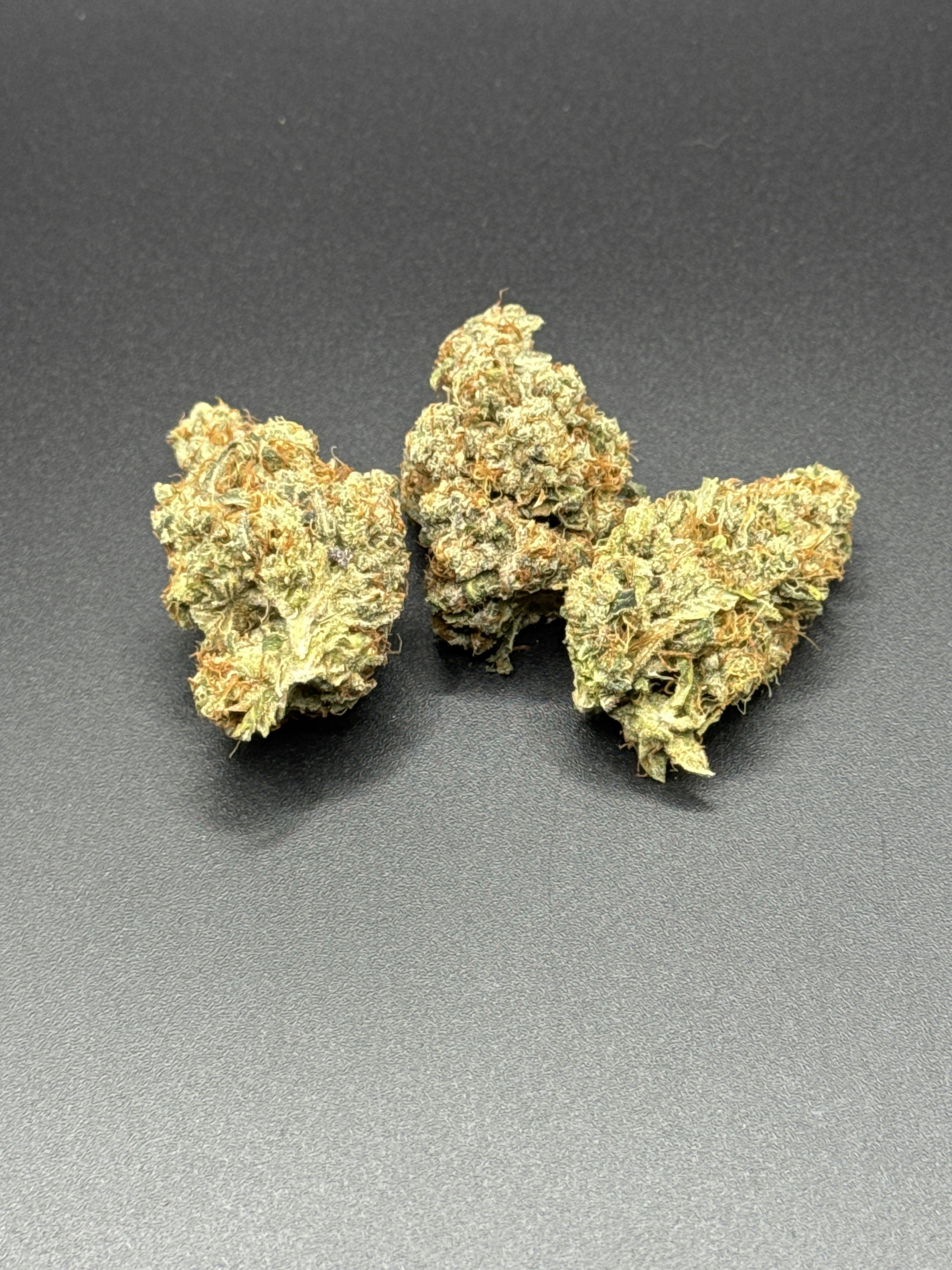 Amnesia Haze by Magik Tree Farms