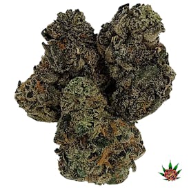 Exotic Shelf - Gastro Pop (Indica)
