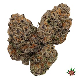 Exotic Shelf - Sundae Driver (Hybrid)