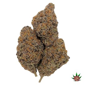 Exotic Shelf - Permanent Marker (Indica)
