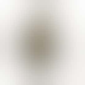 Exotic Shelf - Cap Junky (Hybrid)