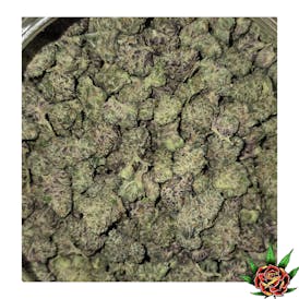 Green Shelf - Ice Cream Cake (Hybrid)