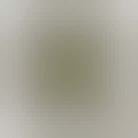 Green Shelf - Ice Cream Cake (Hybrid)