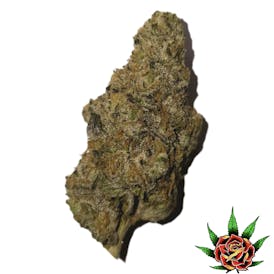 Exotic Shelf - Gush Mintz (Indica)
