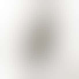 Exotic Shelf - Gush Mintz (Indica)