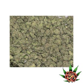 Blue Shelf - Dirty Taxi (Sativa)