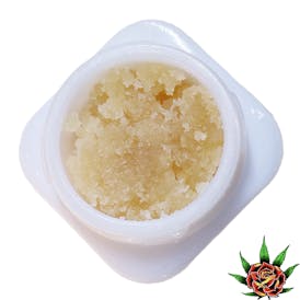 5g cured resin - GMO crasher