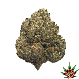 Exotic Shelf - Candy Gelato (Hybrid)