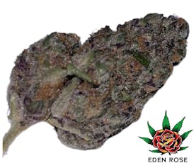 Exotic Shelf - Super Boof (Hybrid)