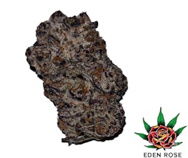 Exotic Shelf - Vegas (Hybrid)