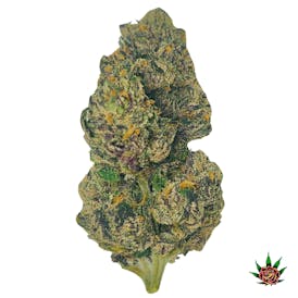 Blue Shelf - Gary Payton (Hybrid)