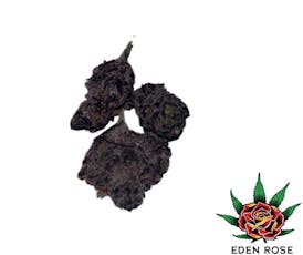 Exotic Shelf - Halle Berry (Hybrid)