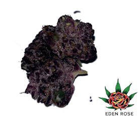 Exotic Shelf - Blockberry (Hybrid)