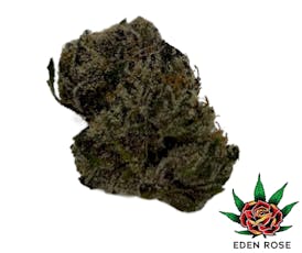 Exotic Shelf - Gruntz (Hybrid)