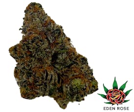 Exotic Shelf - Jokerz 31 (Indica)