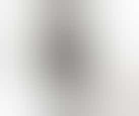 Yellow Shelf - ZI (Indica)