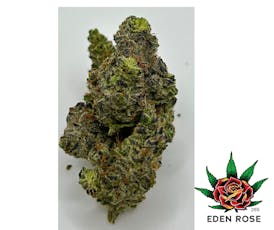 Exotic Shelf - Black Cheese (Indica)