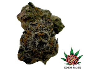 Exotic Shelf - McFritter (Hybrid)