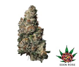 Blue Shelf - Vice City (Hybrid)