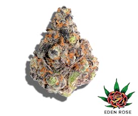 Blue Shelf - El Chivo (Hybrid)