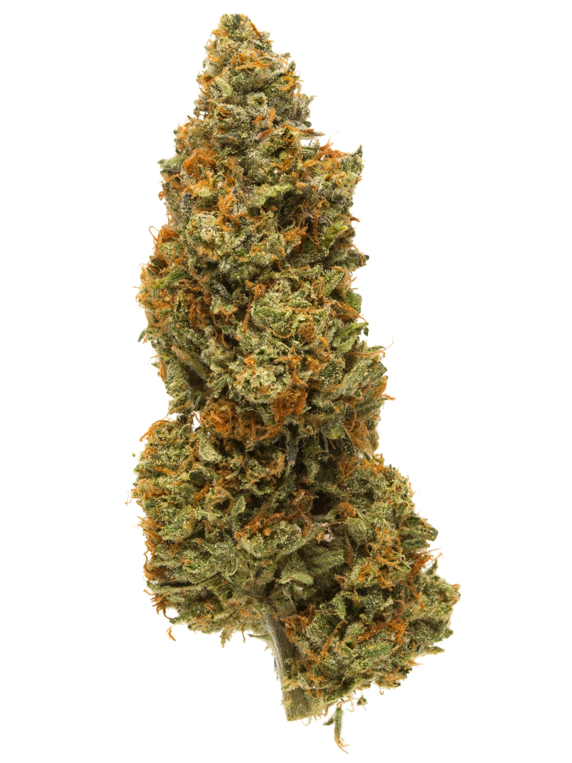 BLUE - Pre-Package - Buzz