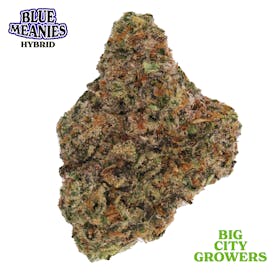 Blue Meanies - (B.C.G.)