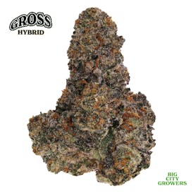 Gross - (B.C.G.)
