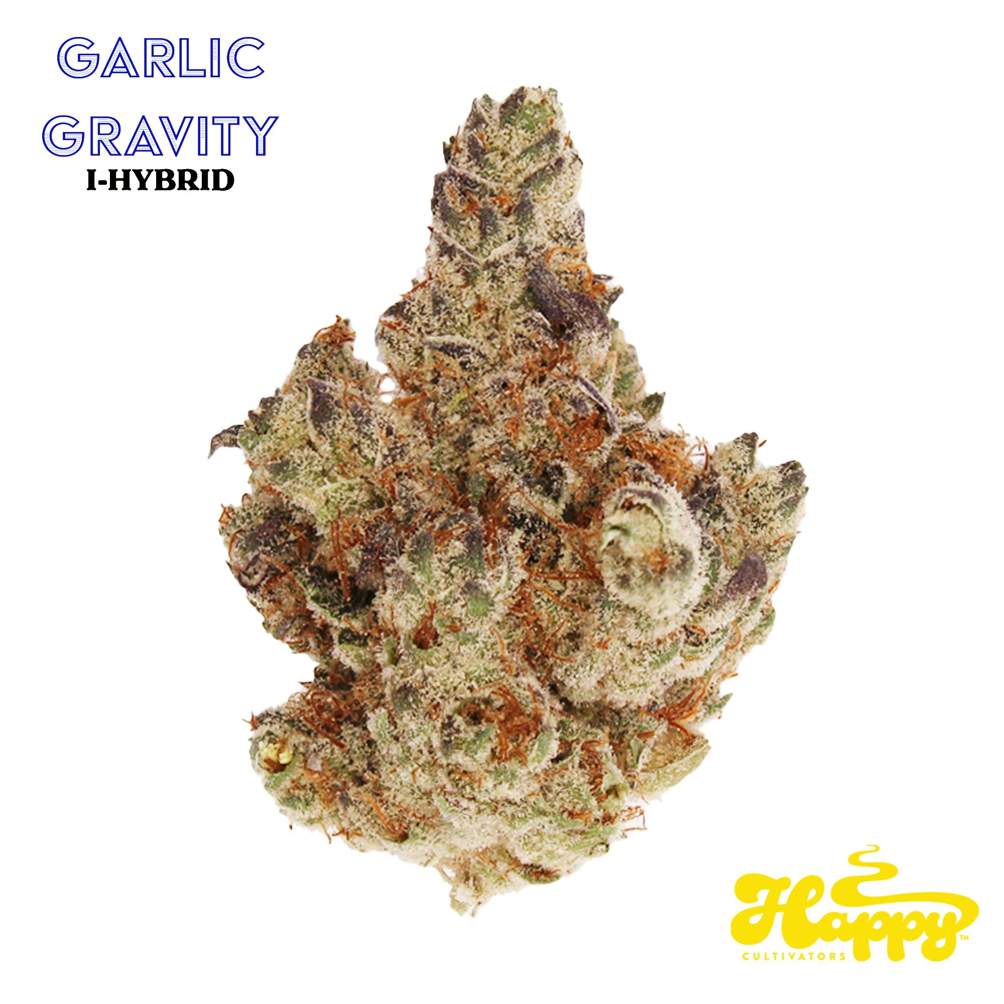 Garlic Gravity 3.5 Grams - H.C.