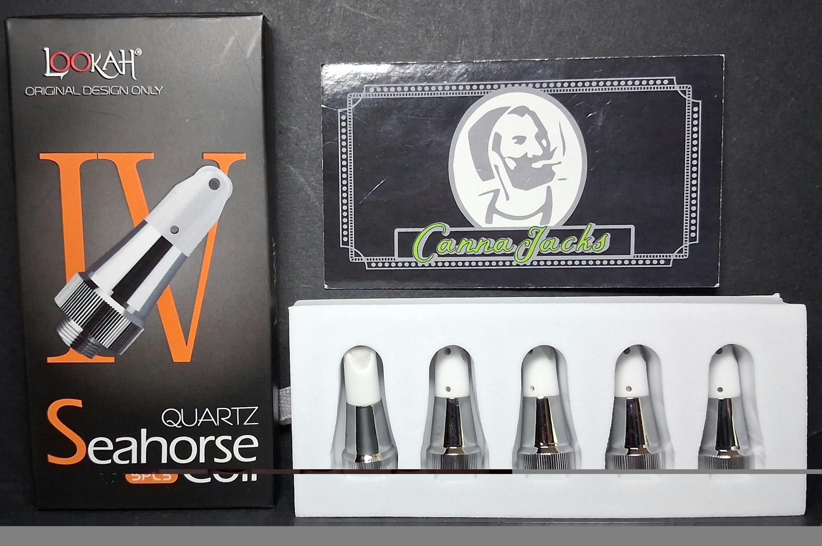 Seahorse Coils $10