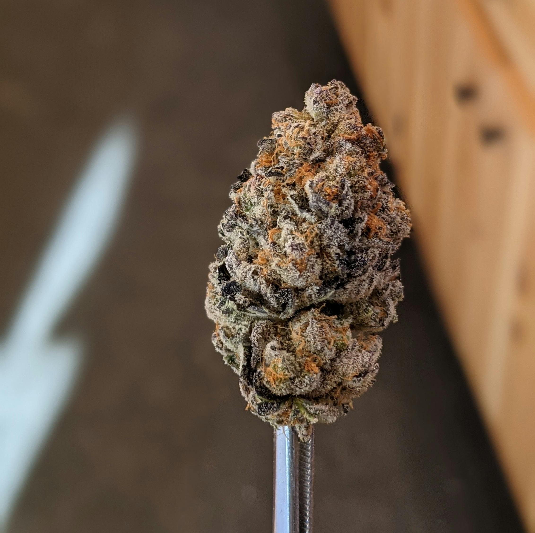 Wizard Punch (70i/30s)