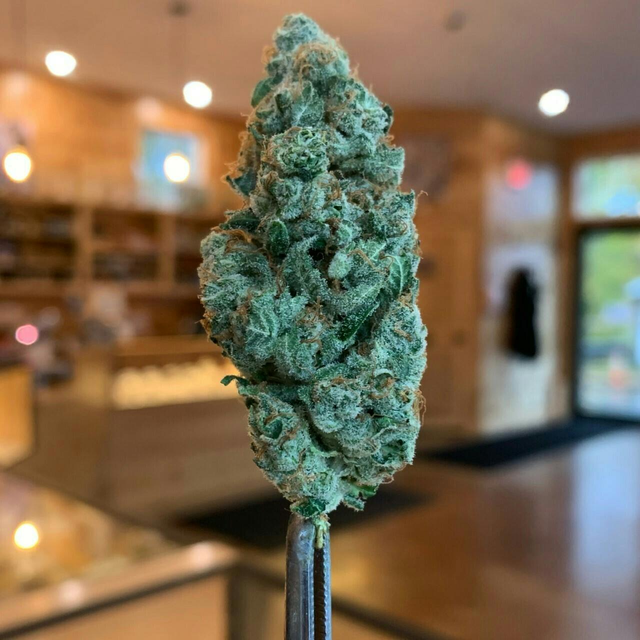 (DISCOUNTED) Nag Champa (60s/40i) at Farley's Cannabis Farm (Medical)
