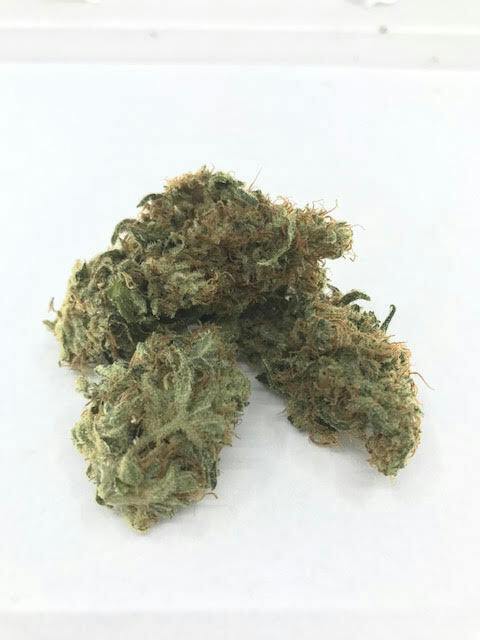 Chembucha by Blackwood Cultivation