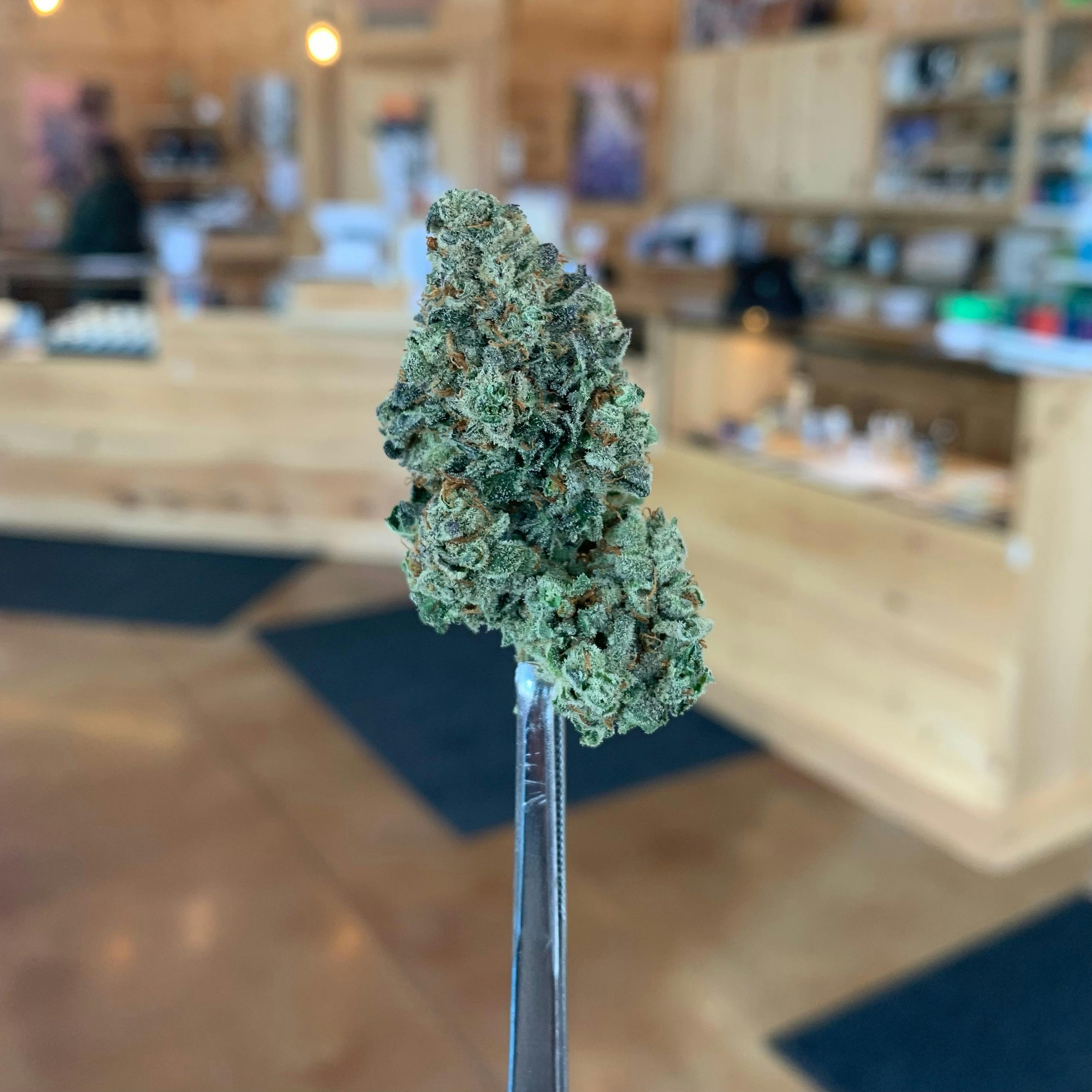 MAC1 (Miracle Alien Cookies) (50i/50s)