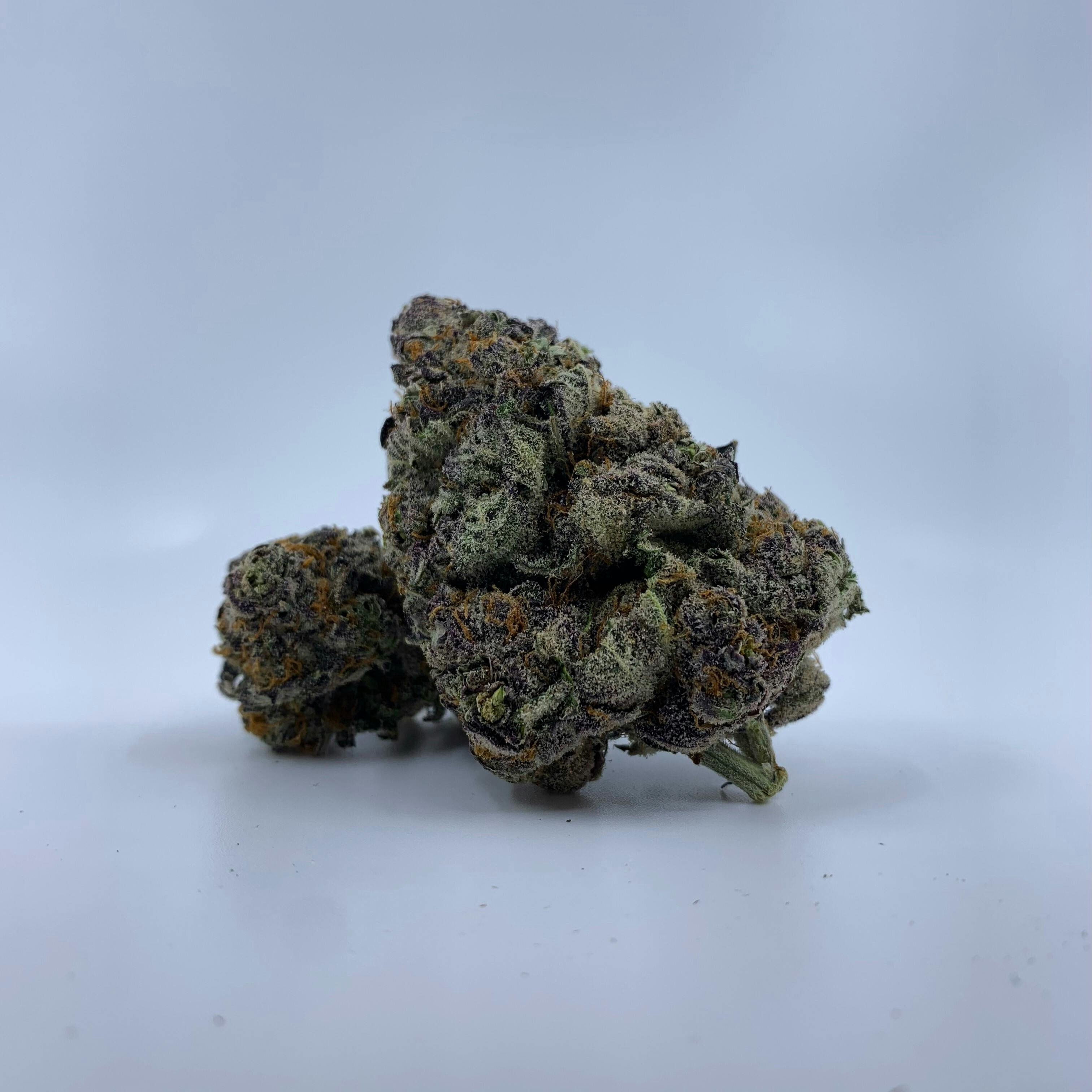 Mimosa #6 (70s/30i)