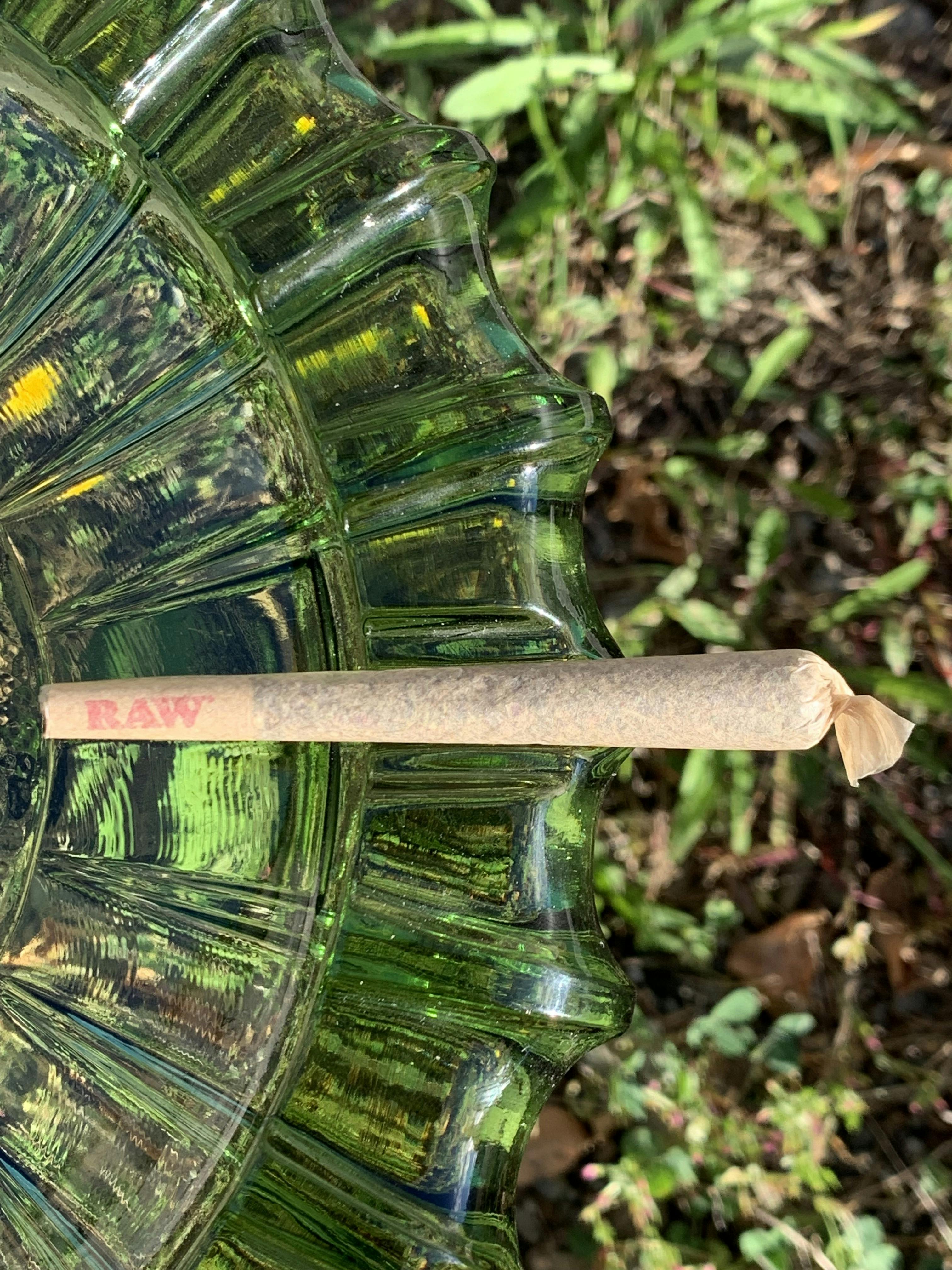 1 Gram Pre Rolls - Green Trap Cannabis