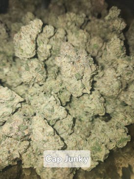 Cap Junky